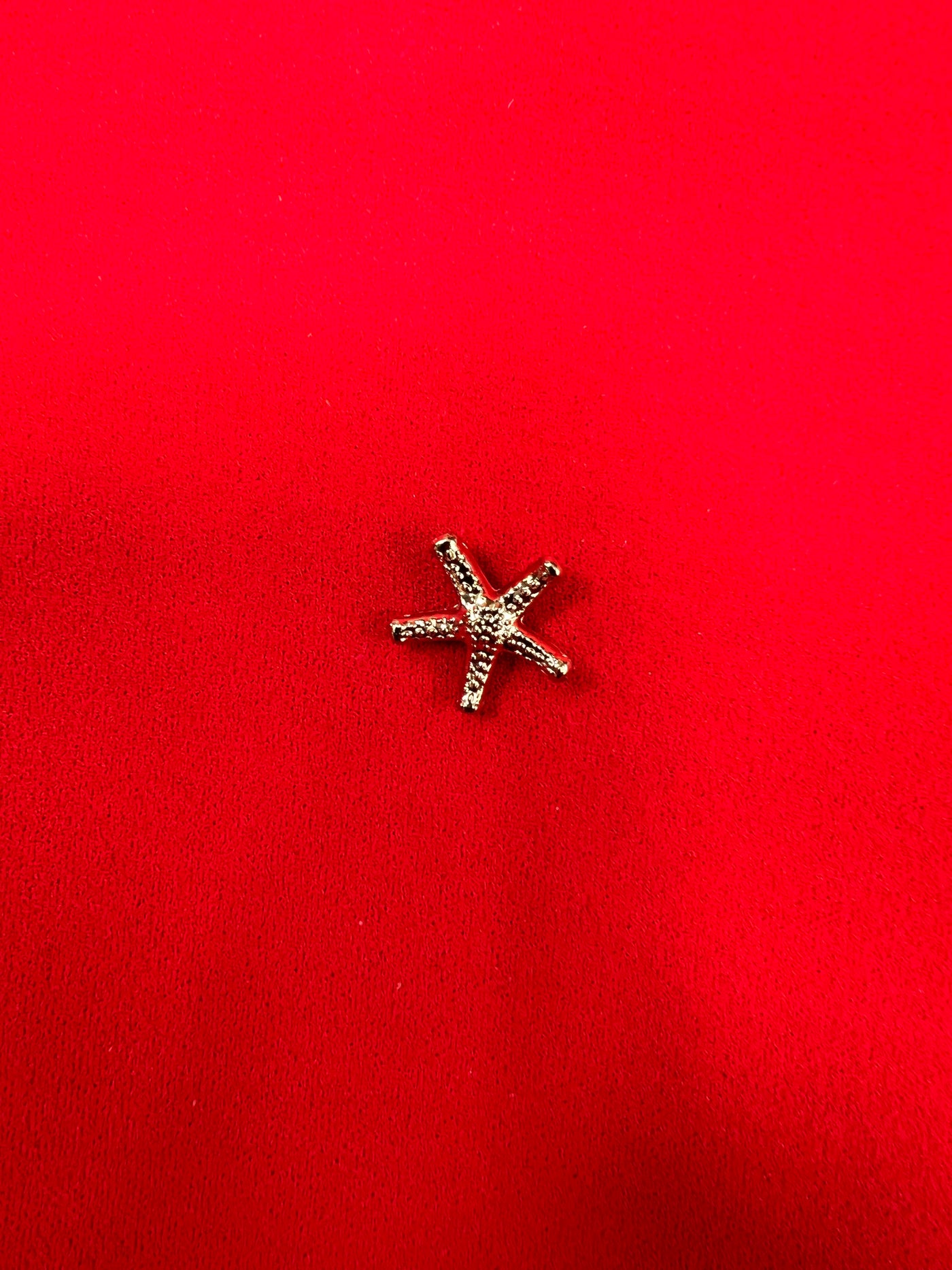 Starfish Pin